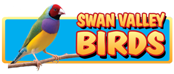 Swan Valley Birds
